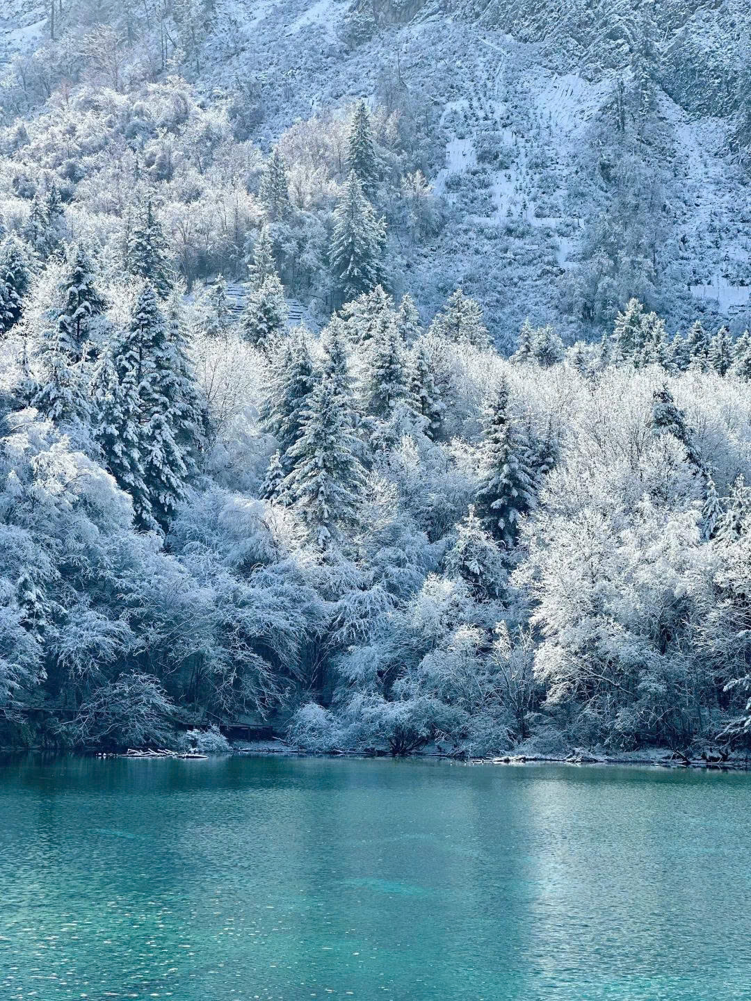 THÀNH ĐÔ – THIÊN ĐƯỜNG HẠ GIỚI CỬU TRẠI CÂU – CÔNG VIÊN GẤU TRÚC – TRƯỢT TUYẾT GIA CÔ SƠN 6N5D